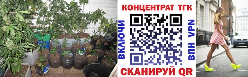 Купить  Егорьевск  ТГК Wax 