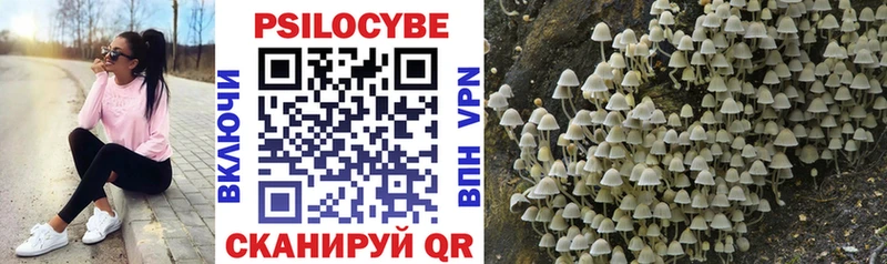 Купить закладки  Егорьевск  Галлюциногенные грибы Psilocybe 